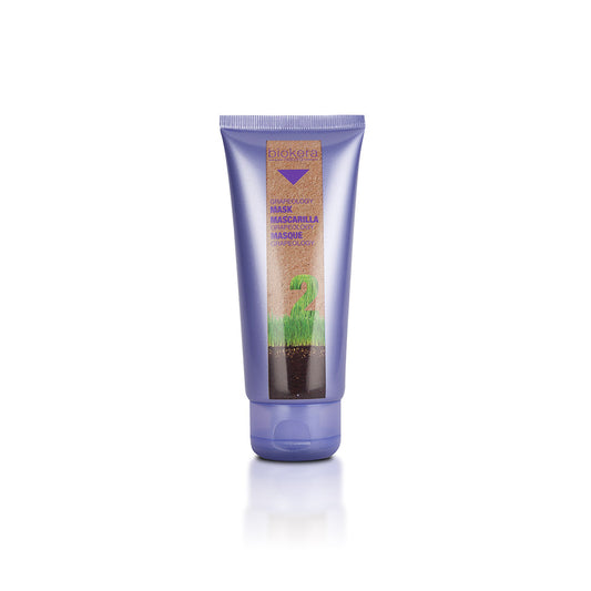 SALERM MASCARILLA GRAPEOLOGY 200ml.